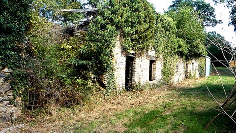 Ancestral house